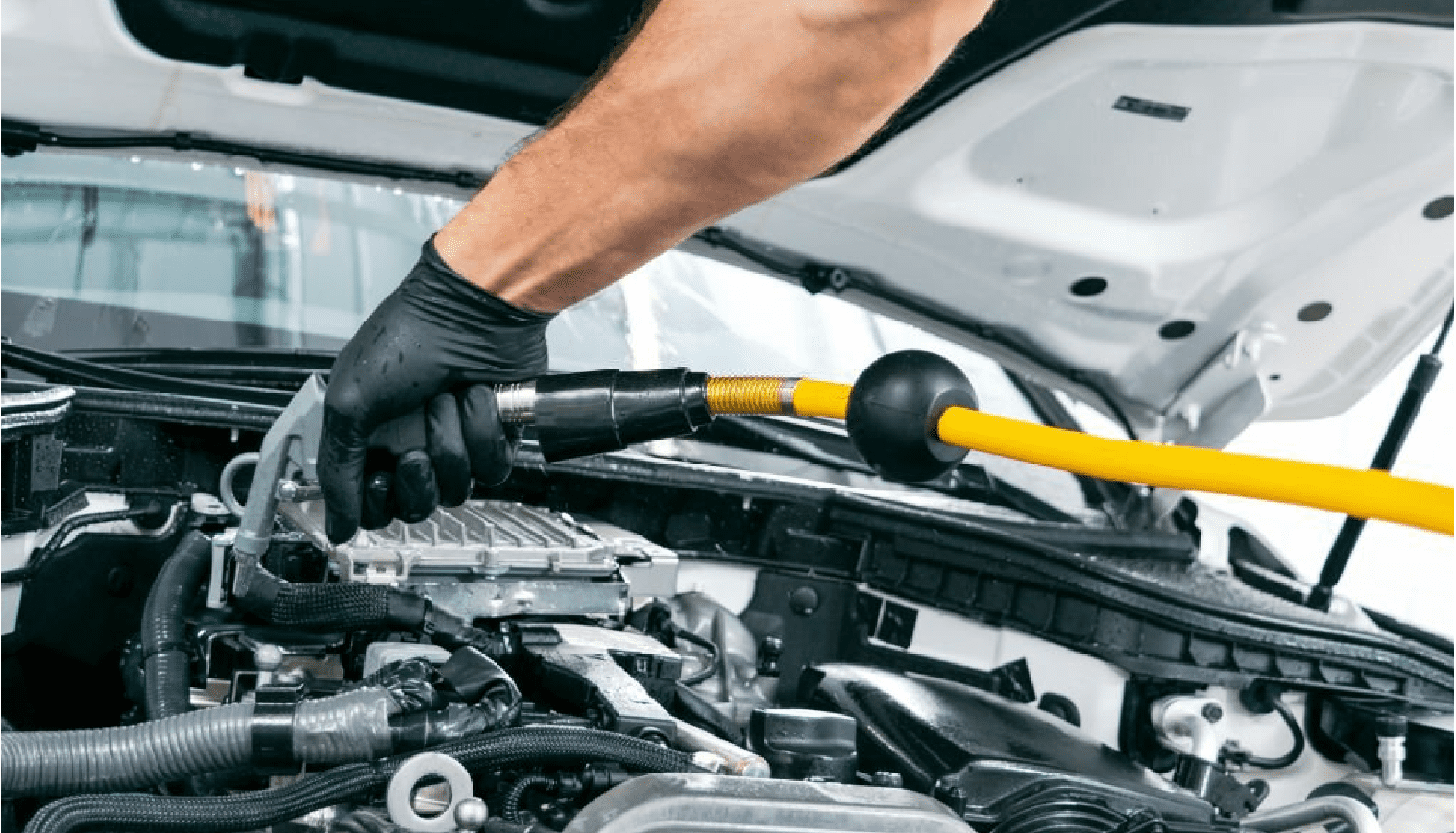 You are currently viewing Engine Bay Wash